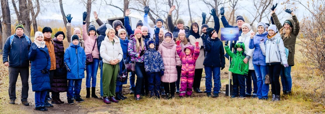 Аллея сосен на острове Татышев